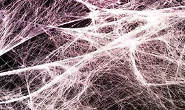 Восстановление фасции. Усиленная версия Plus +11x (Экстра-сильная)