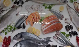 Все о рыбе
