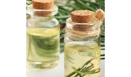 Всё о сосне. Использование сосны в фитотерапии, кулинарии, ароматерапии, гидролатотерапии