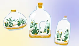 Введение в Биоарт