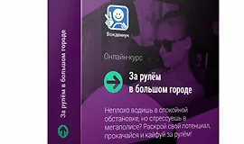 За рулём в большом городе