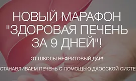 Здоровая печень за 9 дней