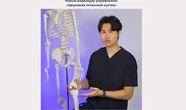 Здоровый коленный сустав