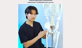 Здоровый тазобедренный сустав