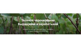 Зеленое черенкование. Выращивай и зарабатывай logo
