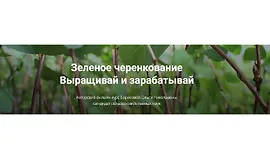 Зеленое черенкование. Выращивай и зарабатывай
