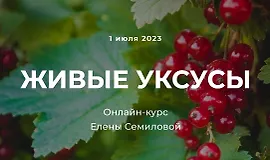 Живые уксусы