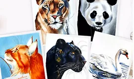 Зоо-марафон