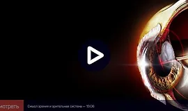 Зрительное восприятие: от физиологии к образу