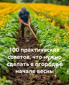 100 практических советов, что нужно сделать в огороде в начале весны