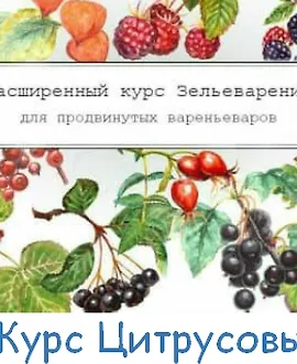Большой Цитрусовый курс