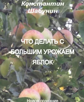 Что делать с большим урожаем яблок?