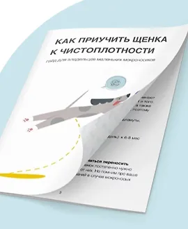 Как приучить щенка к чистоплотности