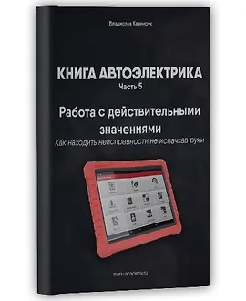 Книга автоэлектрика. Работа с действительными значениям