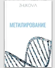 Метилирование