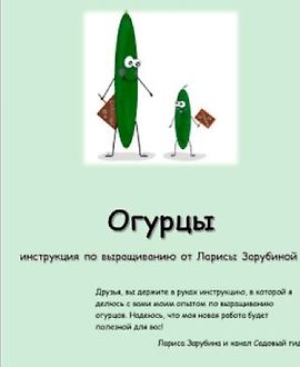 Огурцы. Инструкция по выращиванию logo