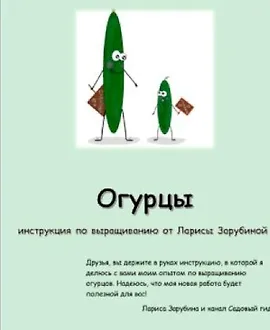 Огурцы. Инструкция по выращиванию