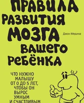 Правила развития мозга вашего ребенка