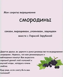 Смородина от А до Я