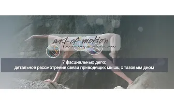 Изображение курса 7 фасциальных депо: детальное рассмотрение связи приводящих мышц с тазовым дном