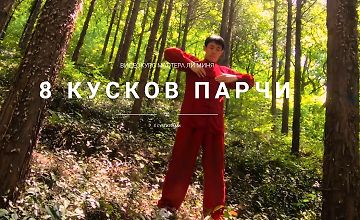 Изображение курса 8 Кусков Парчи
