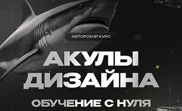 Акулы дизайна, обучение с нуля logo