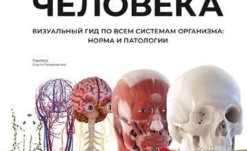 Изображение курса Анатомия человека. Визуальный гид по всем системам организма
