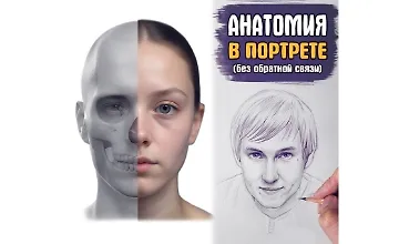 Изображение курса Анатомия в портрете. Базис
