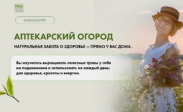 Изображение курса Аптекарский огород