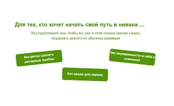 Изображение курса Дерево как произведение искусства