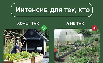 Изображение курса Дизайн современного огорода