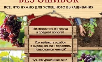 Изображение курса Домашний виноград без ошибок. Все, что нужно для успешного выращивания