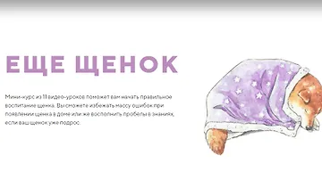 Изображение курса Еще щенок