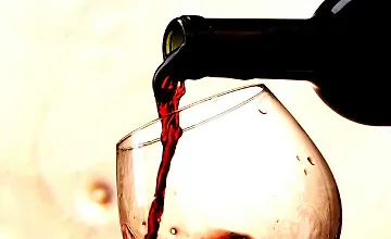 Изображение курса Руководство по вину на каждый день