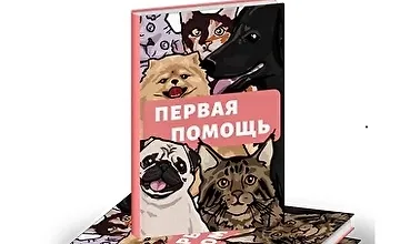Изображение курса Гайд «Первая помощь питомцу»