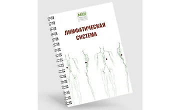 Изображение курса Гайд по работе с лимфой