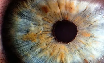 Изображение курса Гимнастика для глаз и концентрации