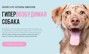 Изображение курса Гипервозбудимая собака