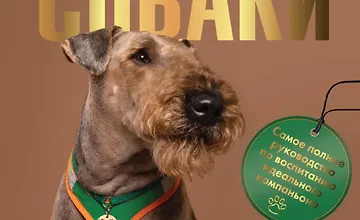 Изображение курса Главная книга владельца собаки