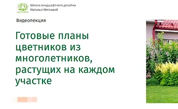 Изображение курса Готовые планы цветников из многолетников, растущих на каждом участке