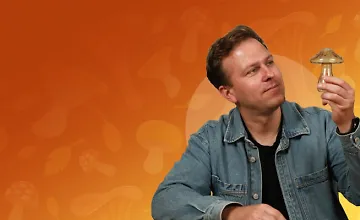 Изображение курса Грибы