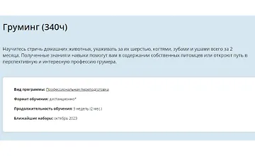 Изображение курса Груминг