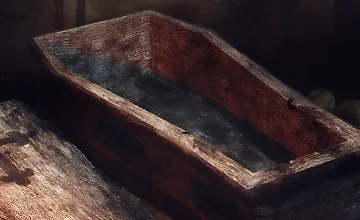 Изображение курса Истинная история Дракулы