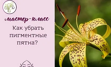 Изображение курса Как убрать пигментные пятна