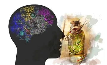 Изображение курса Как выйти из сети пассивного режима мозга с помощью Ароматерапии