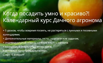 Изображение курса Когда посадить умно и красиво?! Календарный курс
