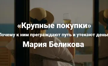 Изображение курса Крупные покупки. Почему к ним преграждают путь и утекают деньги