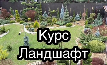 Изображение курса Курс Ландшафт