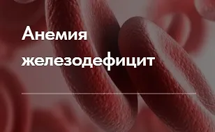 Изображение курса Лечебный протокол "Анемия железодефицит"