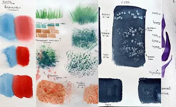 Изображение курса Лекция "Мир акварели"